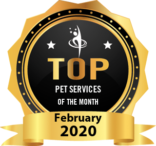 Bluestar Pet Hospital & Grooming - Award Winner Badge