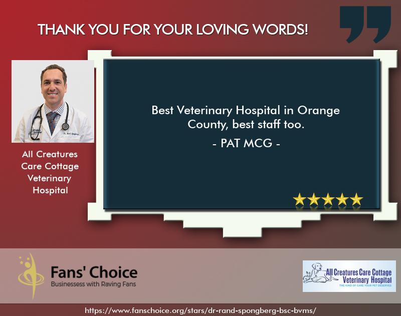 Review 116548