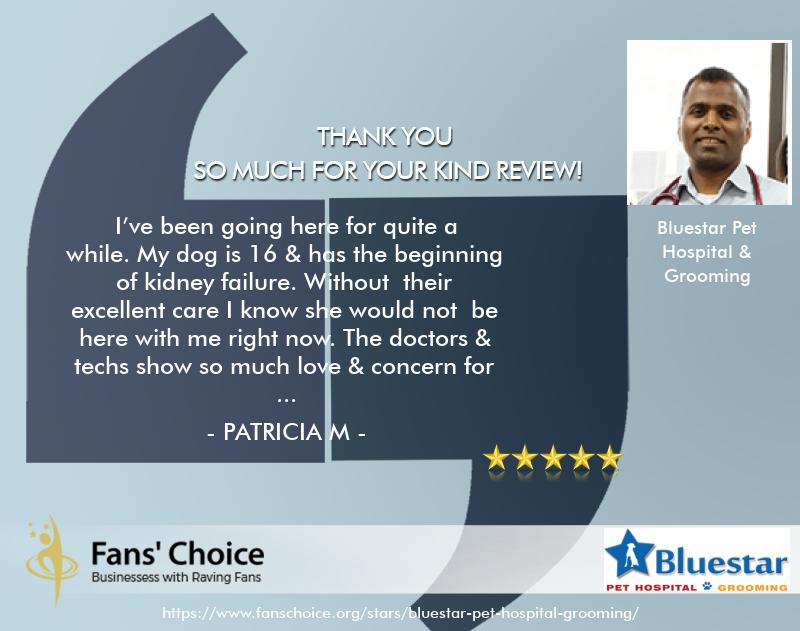 Review 117566