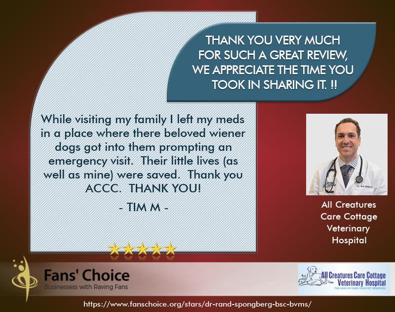 Review 117686