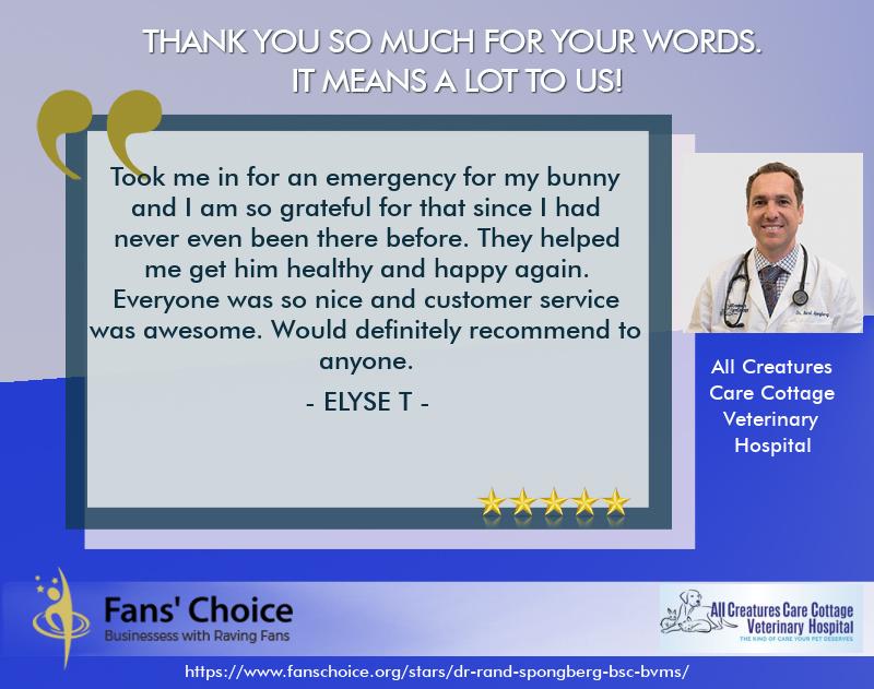 Review 117688