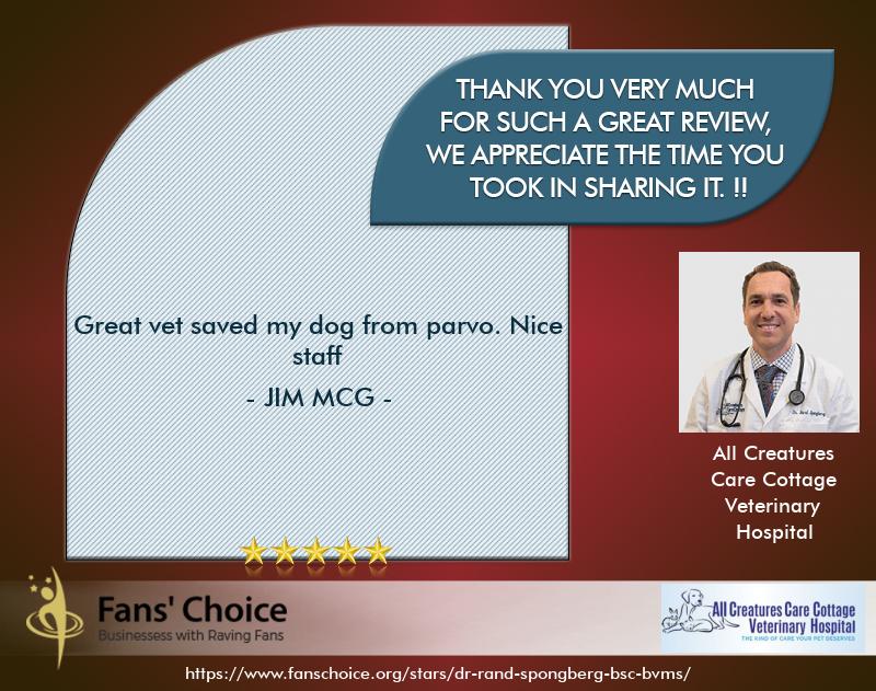 Review 117890