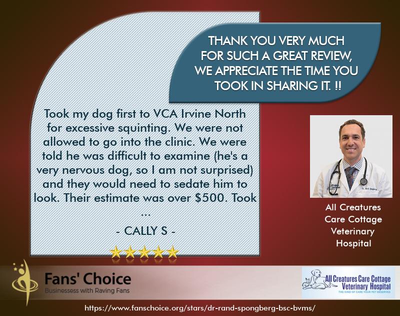 Review 118454