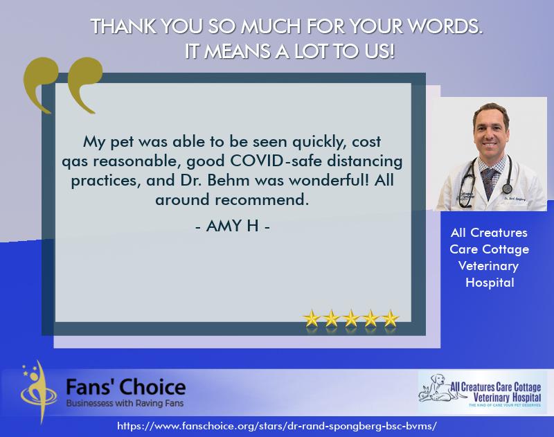 Review 118772