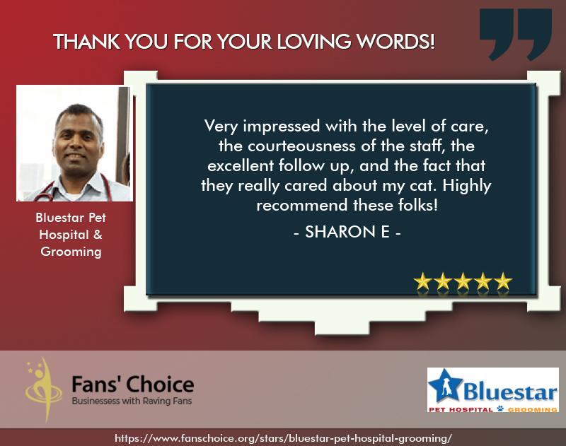 Review 119157