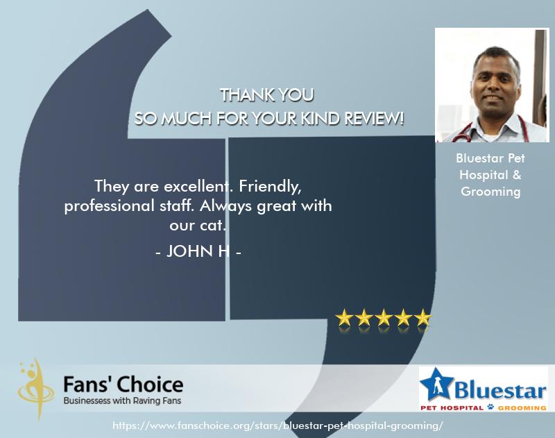Review 119158