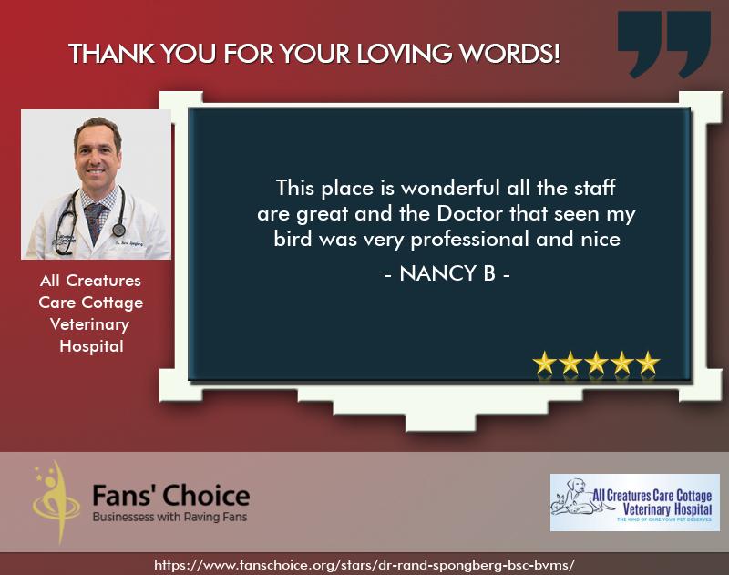 Review 119457