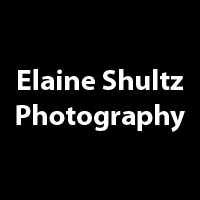 Elaine Shultz Photography