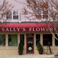 Sally’s Flowers