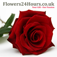 Flowers24Hours.co.uk