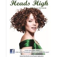 Heads HIGH Professional Hair Care & Color.