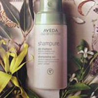 Moda Aveda – Fort Worth