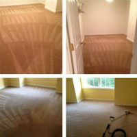 Metro Carpet Cleaning & Solutions