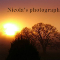 Nicola’s photography