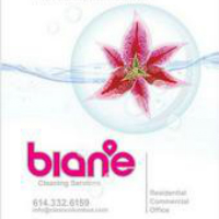 bian’e Cleaning Services