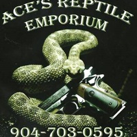 Ace’s Reptile Emporium