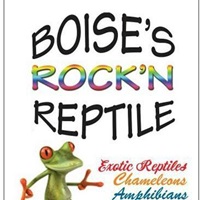 Boise’s Rock’n Reptile