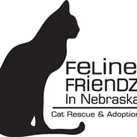 Feline Friendz in Nebraska