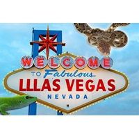 LLLReptile Las Vegas