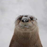 Washington Park Zoo