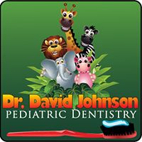 Dr. David Johnson Pediatric Dentist