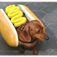 Diggity Dog Hot Dog & Sausage