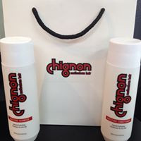 CHIGNON < Meticulous Hair> Highgate Hill Brisbane