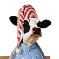 Chick-fil-A at Indian River Road