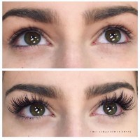 The Lash & Brow Company