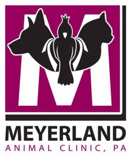 Meyerland Animal Clinic