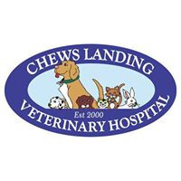 Chews Landing Veterinary Hospital