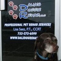 Dalia’s Doggie Rehab, LLC