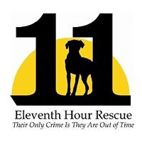 Eleventh Hour Rescue