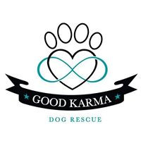 Good Karma Dog Rescue