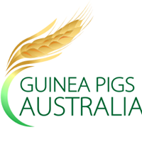 Guinea Pigs Australia Shop