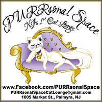 PURRsonal Space – New Jersey’s First Cat Lounge