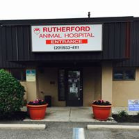 Rutherford Animal Hospital