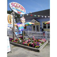 Scoops ice cream & sandwich shop.