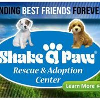 Shake A Paw Center for Rescue and Adoption