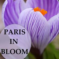 Paris In Bloom