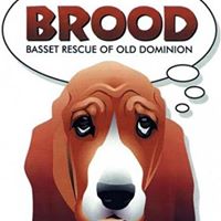BROOD Basset Rescue of Old Dominion