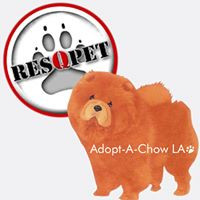AdoptaChow Los Angeles