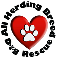 All Herding Breed Dog Rescue of Illinois
