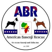 Americas Basenji and Shiba Inu Rescue