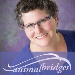 Animal Bridges | Animal Communicator and Wellness