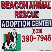 Beacon Animal Rescue