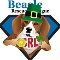 Beagle Rescue League, Inc
