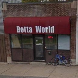 BettaWorld