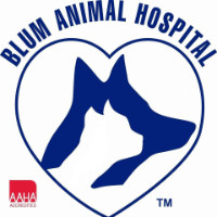 Blum Animal Hospital
