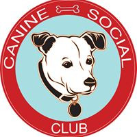 Canine Social Club